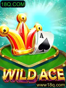 Explorando o Universo de WildAce: Jogo, Regras e Contexto Atual